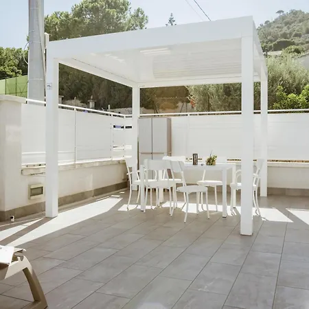 Hotiday Collection -